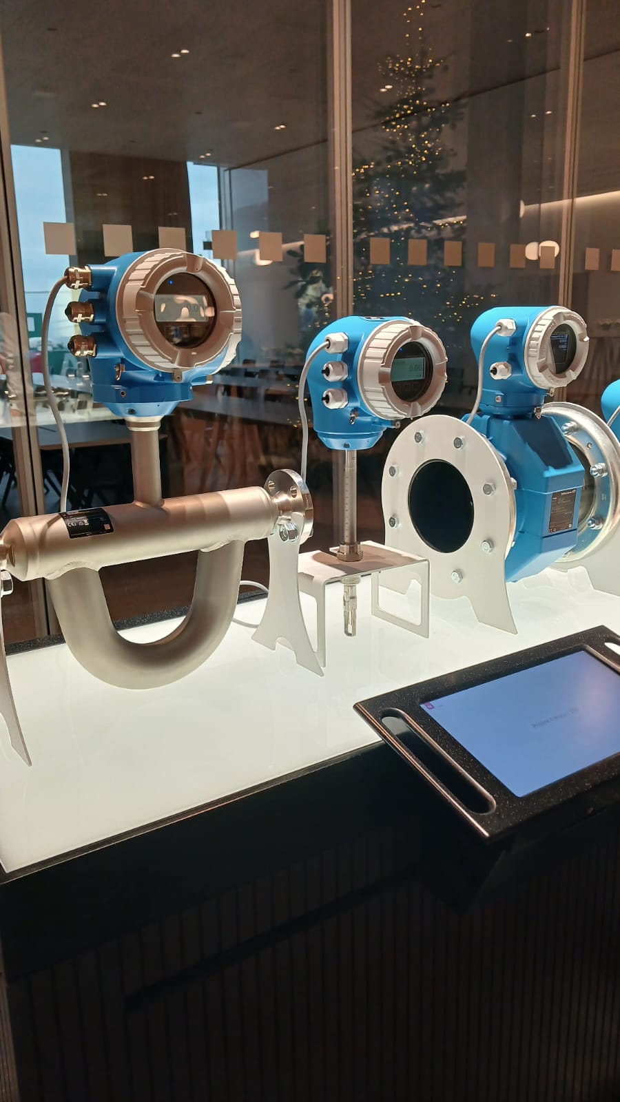 TSS Tunisie- Endress+Hauser